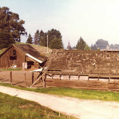 Buckley Ranch barn #2 (LeFebvre)