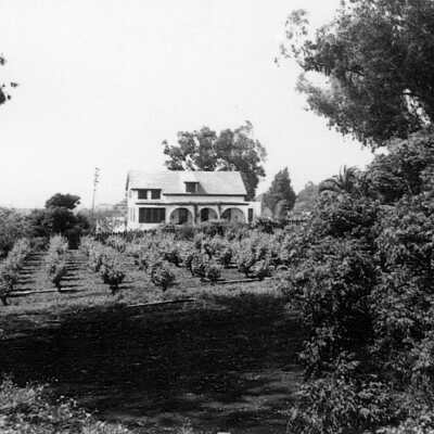 Ellerhorst ranch (Mary Butler): Far view of the C.H. Ellerhorst home, bought in 1881 from Kate Cousins, daughter of Dr. Samuel and Rafaela Tennent. The home was purchased by the John McLeod family. The house is in Hercules, across the train tracks from the site of the former Santa Fe depot.