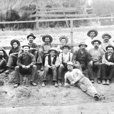 Farm hands (Mariotti)