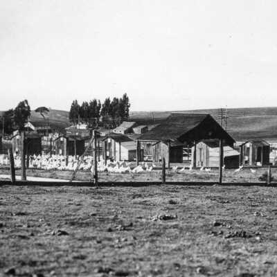 Lemkuhl Chicken Ranch, Pinole Valley (1506T) CCCHS