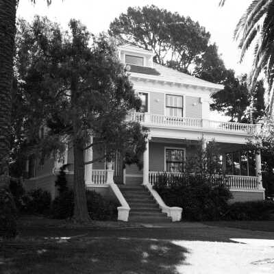 Downer Home (8 inches) city