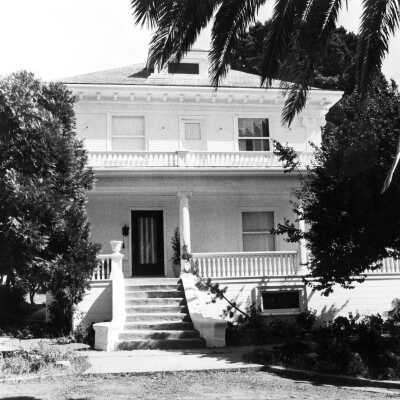 Downer Home (9 inches) city