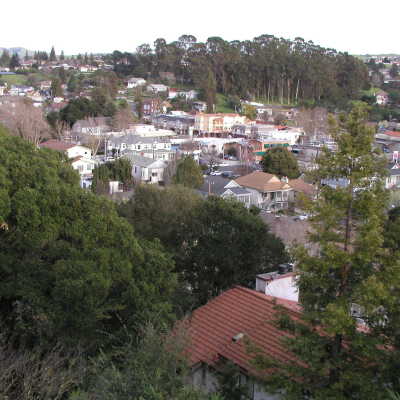 P1010036