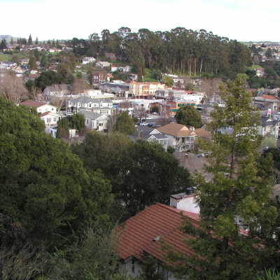 P1010037
