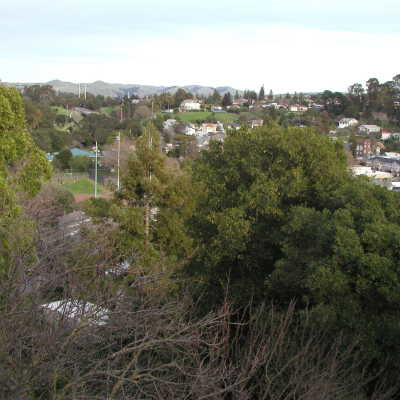 P1010045