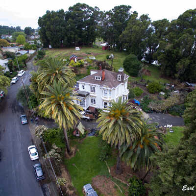 Fernandez Mansion side view  from drone 2.6 MB 4-4-17 (Earl Combs): Earl Combs' drone photograph of the Fernandez Mansion with Palm trees in the forefront and majestic Eucalyptus trees in the background.
