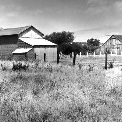 Tennent: Ceselini property, 1400 PV Road (Prather)