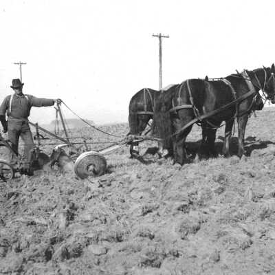 Henry by his automobile (Mariotti:Downer): Henry Ellerhorst, son of Chris and Christina Ellerhorst, and young boy on a horse drawn cultivator. 