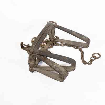 Bear Trap / Piège à ours