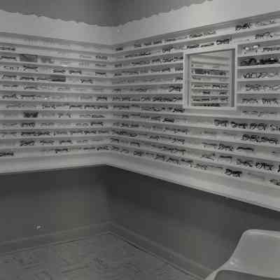 Dr. Brenne, Optometrist