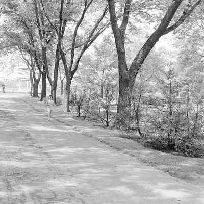 Old Schuette Park