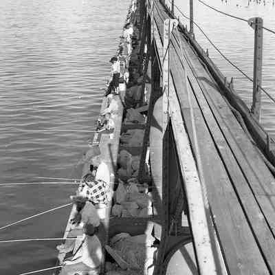 Fishing at Northside Pier