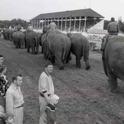 Ringling Bros. Circus