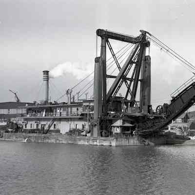 U.S. Parison