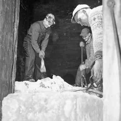 Ice Harvest