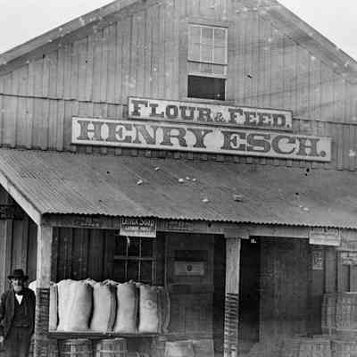 Henry Esch Flower & Feed
