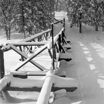 Lincoln Park