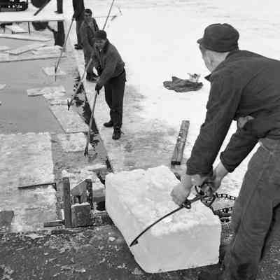Ice Harvest