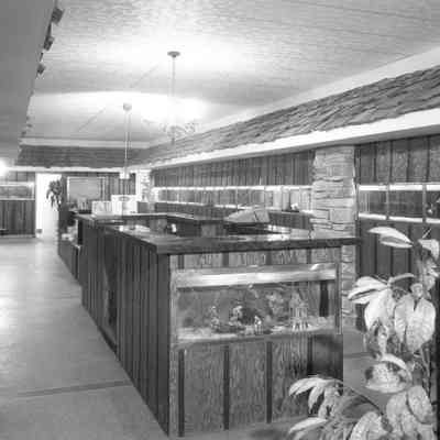 Tropical Fish House