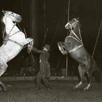 Ringling Bros. Circus