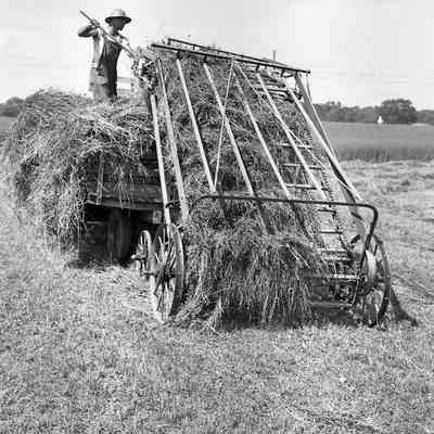 Harvesting
