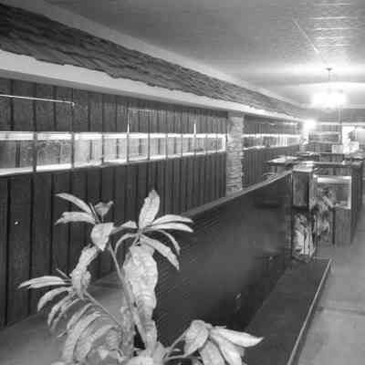 Tropical Fish House