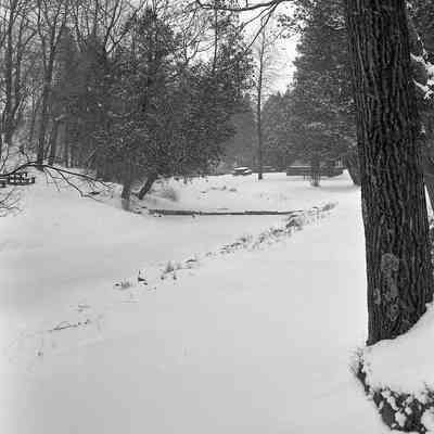 Silver Creek Park