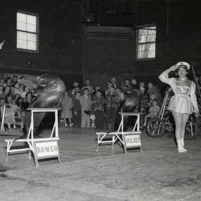 Kiwanis Circus