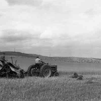 Harvesting
