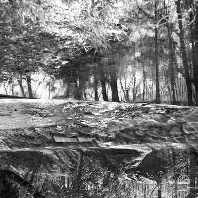 Silver Creek Park