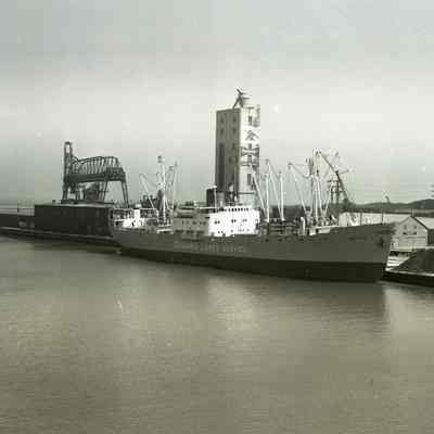 Nardo