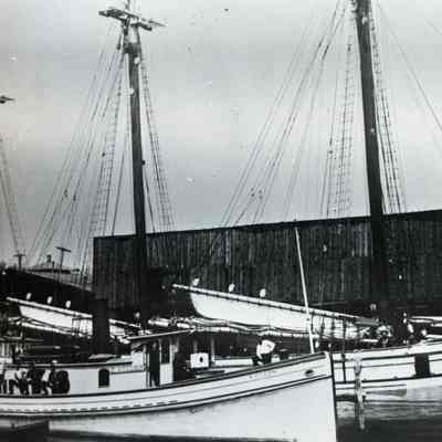 Schooner J.B. Newland