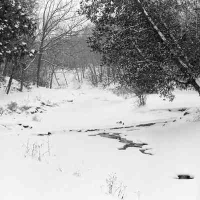 Silver Creek Park