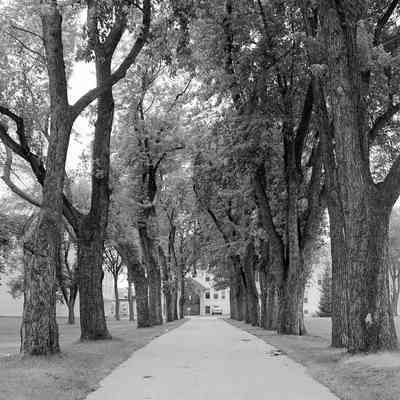 Shady Lane Nursing Home