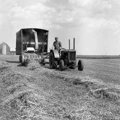 Chopping Hay