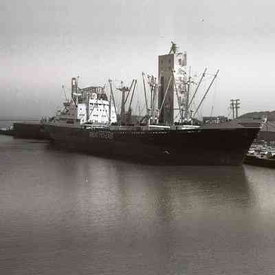 Orient Mariner