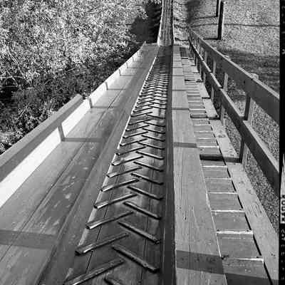 Silver Creek Park