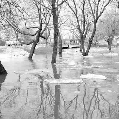 Shoto Flooding