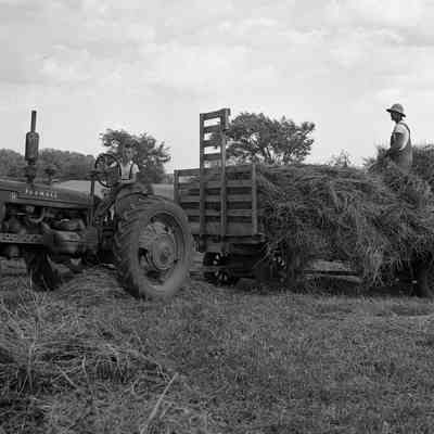 Bringing in Hay