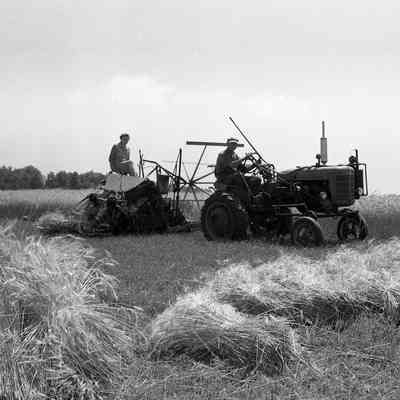Hay Crop