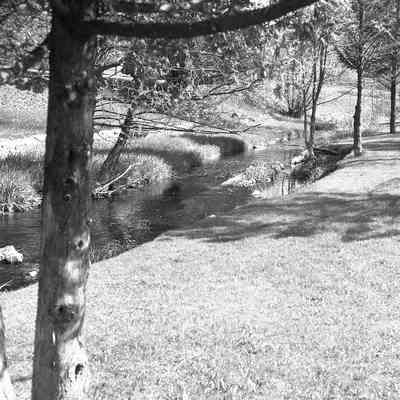 Silver Creek Park