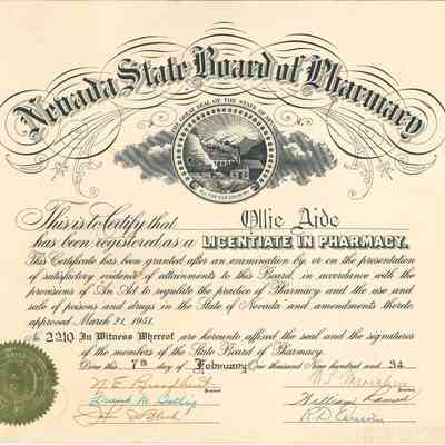 License, Occupational