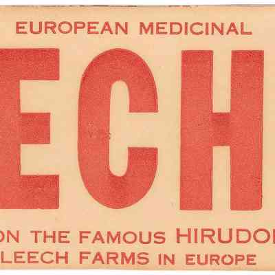 Label, Identification