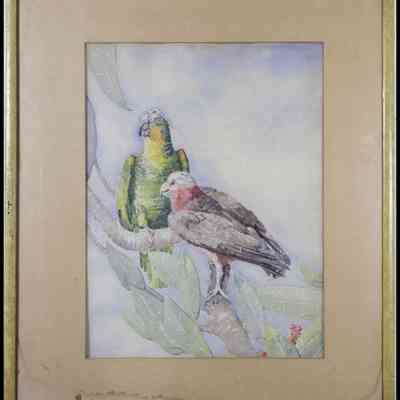 Patterson, Claude A. (1887-1973) "High in the Tree Tops"