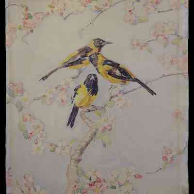 Patterson, Claude A. (1887-1973) "Orioles"