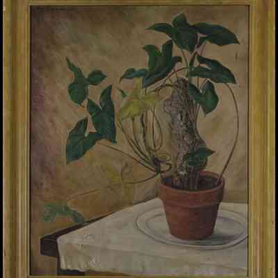 Kadowaki, Motoichi (Roy) (1885-1981) "Japanese Plant"