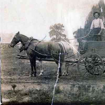 Horse and Wagon