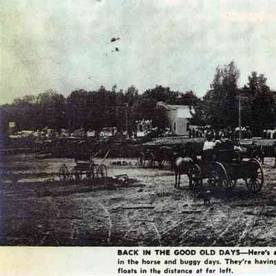 Lutesville