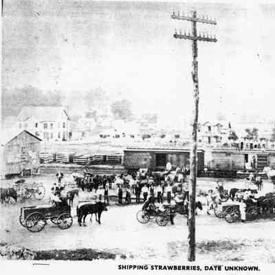 Lutesville Rail Road