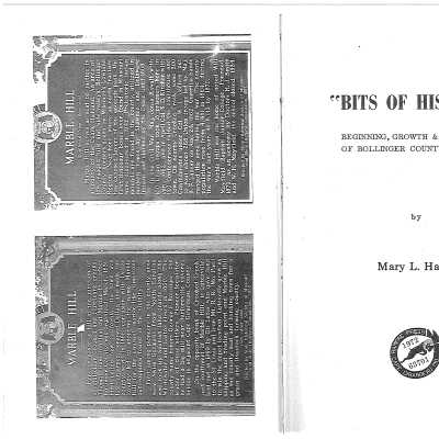 Excerpt from "Bits of History"